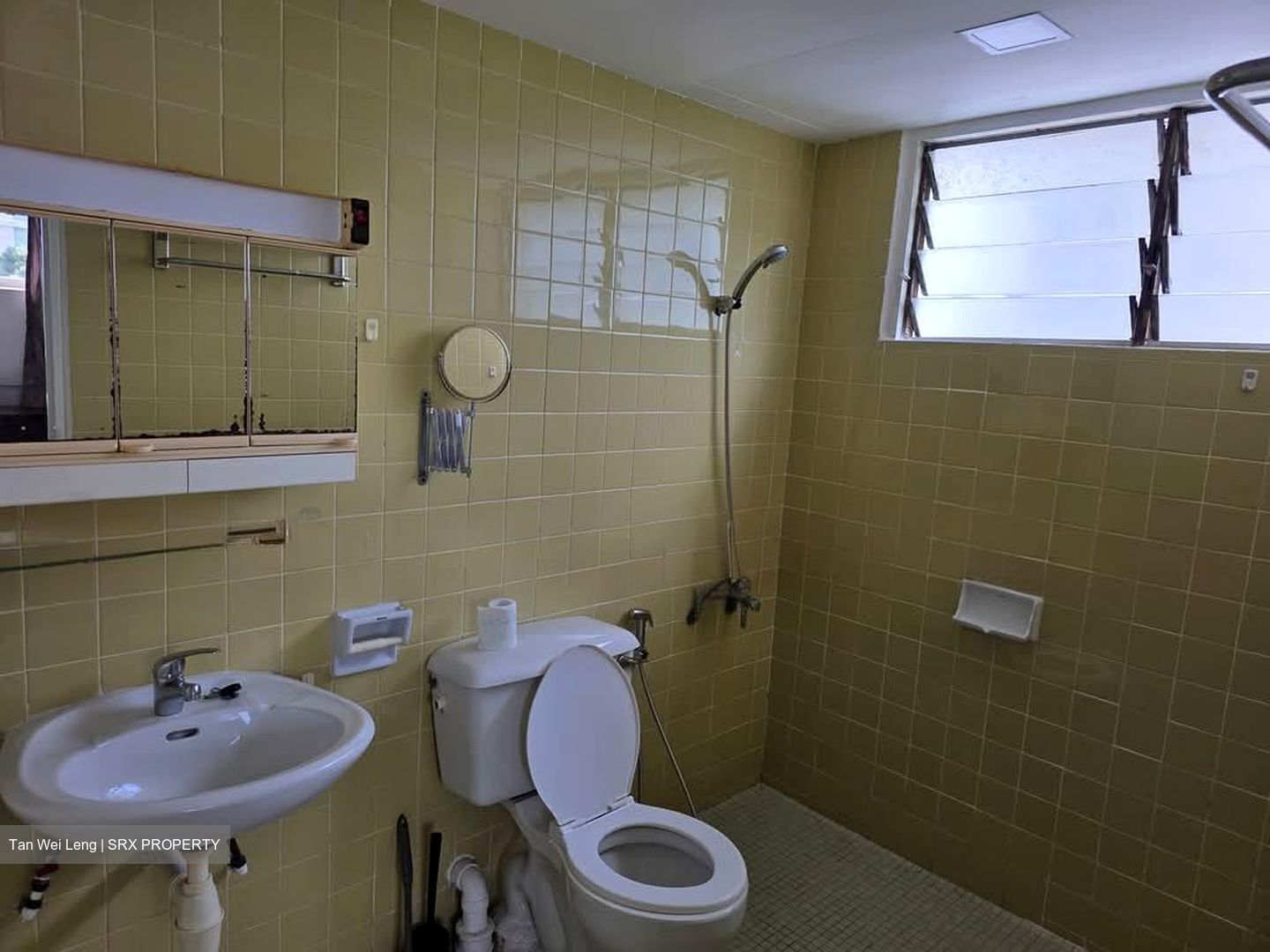 Laguna Park (D15), Apartment #589152571